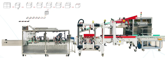 Het vervoeren van de volledig Automatische Machine die van de Kartonverpakking Vormt het Vullen in dozen doet