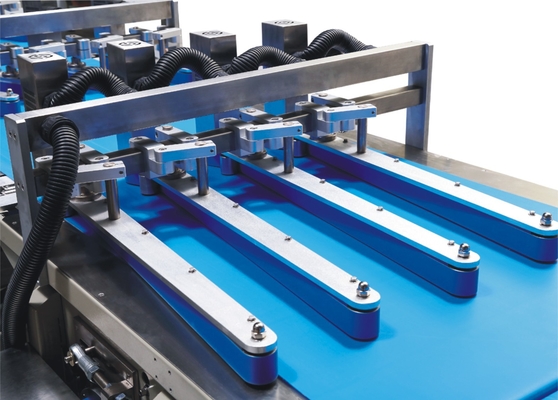 Het Voedsel van het koekjeskoekje Automatische de Cakewafel van de Verpakkingslijn het Voeden en van de Zakverpakking Lijn