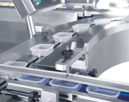 Horizontaal Kopvoedsel de Cakebrood dat van de VerpakkingsLopende band Tray Loading Packing voedt