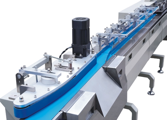 De automatische Horizontale Machine van de de Containerverpakking van het Stroomvoedsel met Producten het Voeden